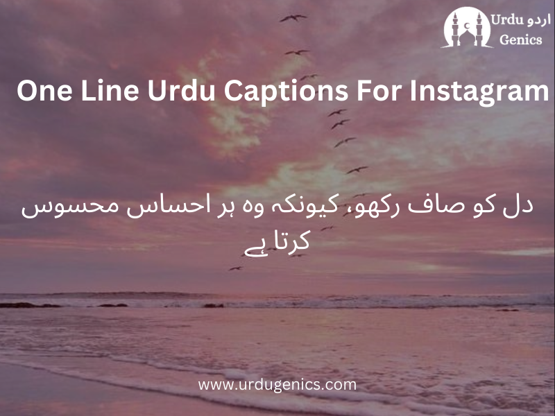 one line urdu captions for instagram