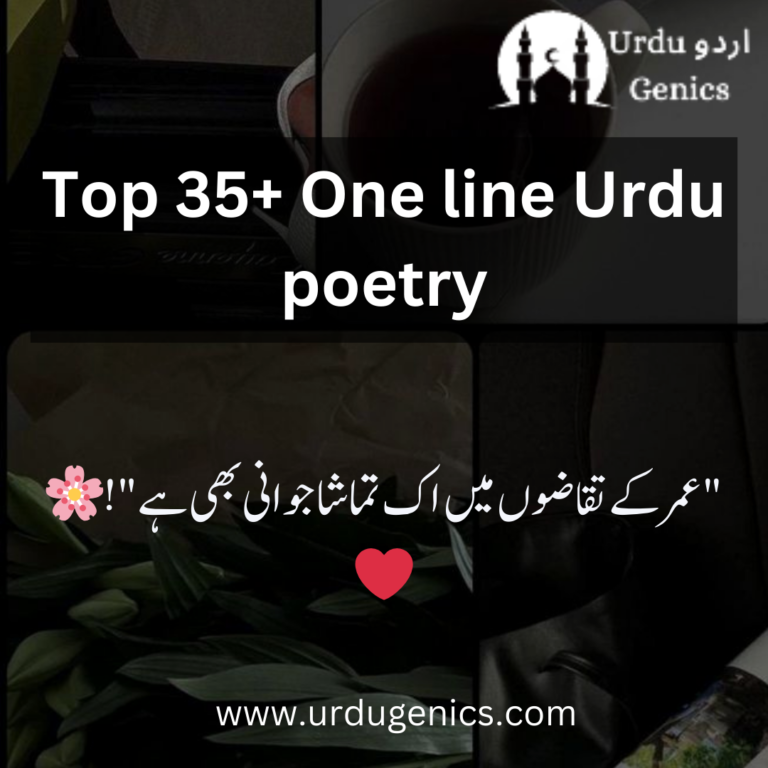 One line Urdu poetry